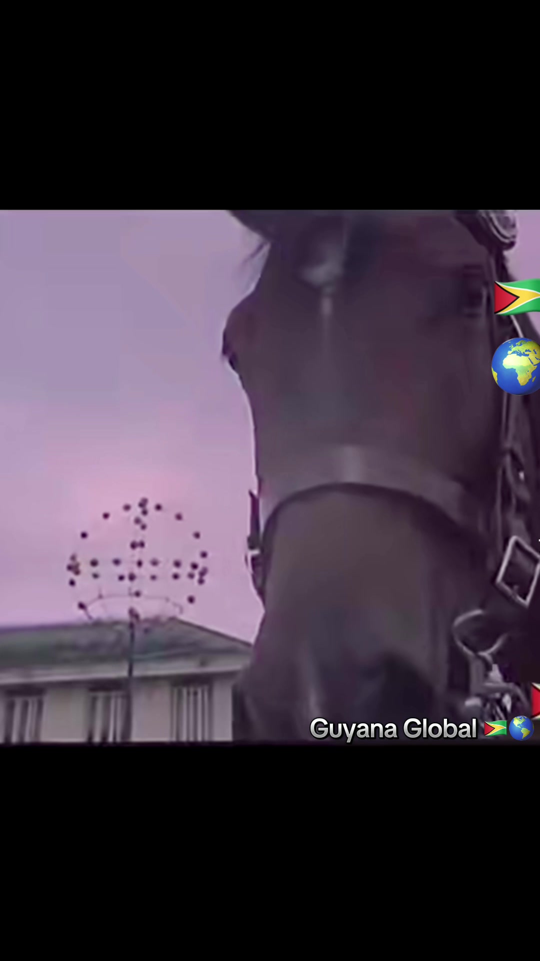 @Guyana Global