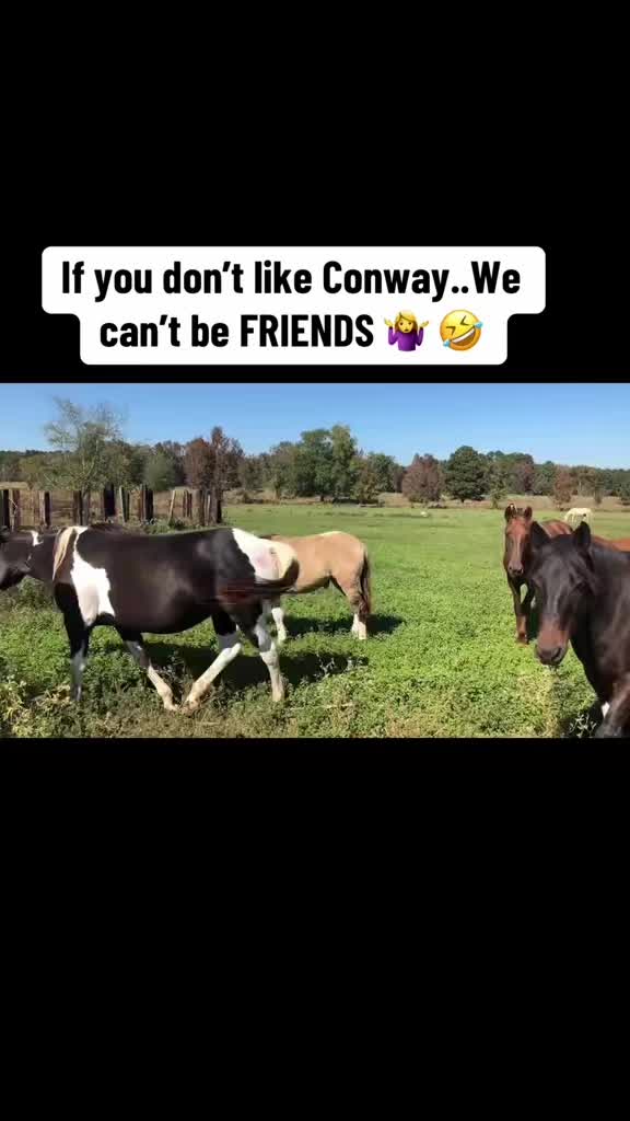 @RockinCowgirl