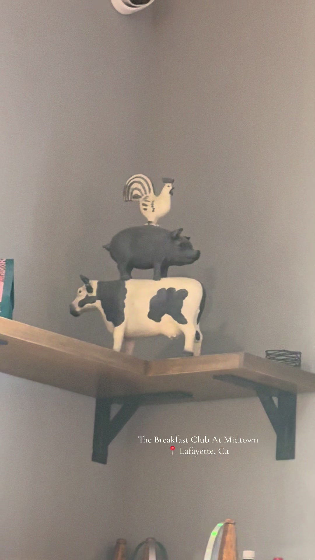@𝔹𝕒𝕪𝕎𝕚𝕥𝕙𝕂𝕣𝕪𝕤𝕥𝕒𝕝