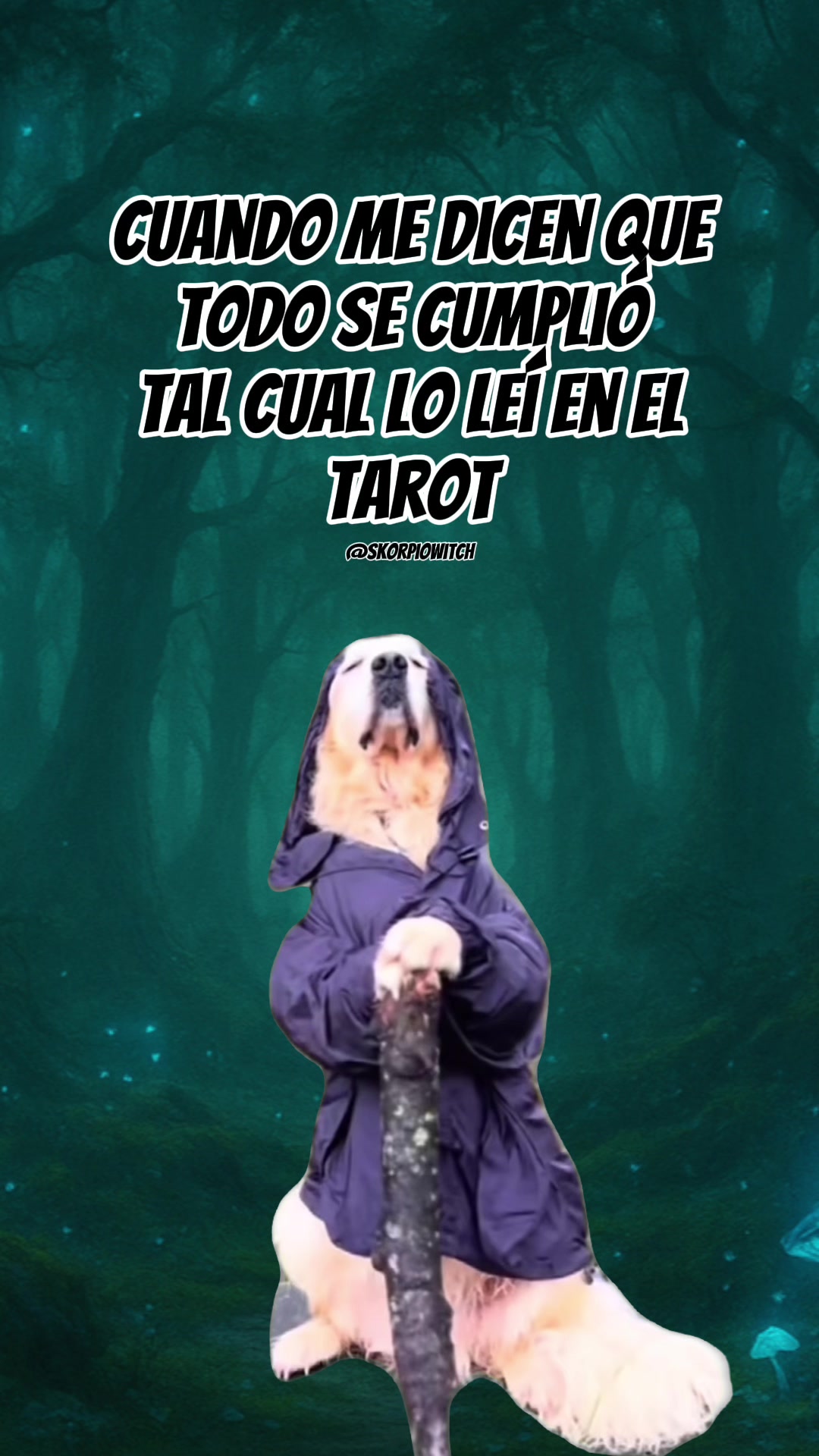 @Skorpio Witch