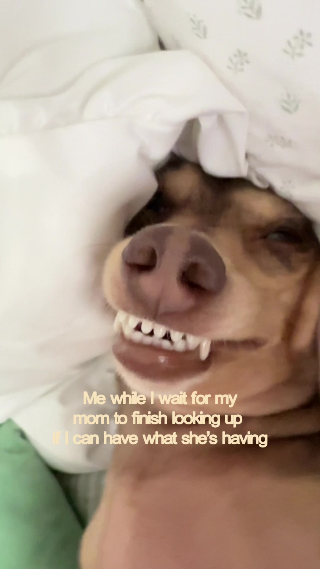 @Mel