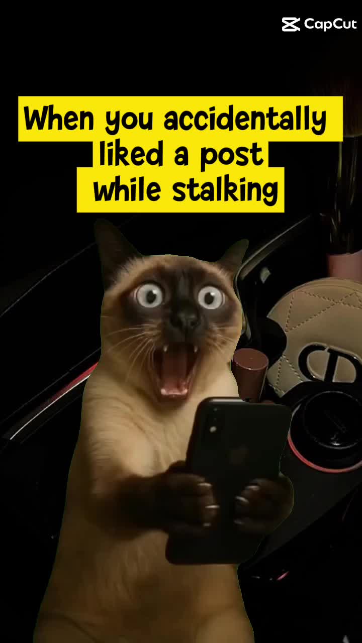 @luvmegentle🙈🙉