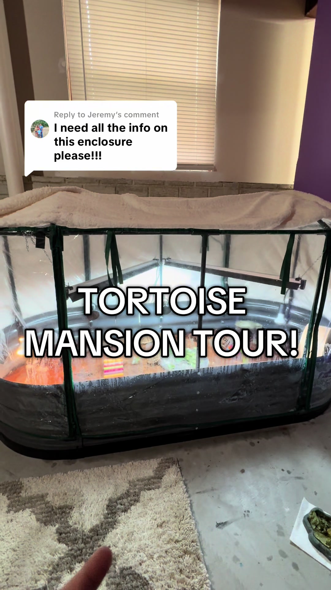 @Fajita 🐢