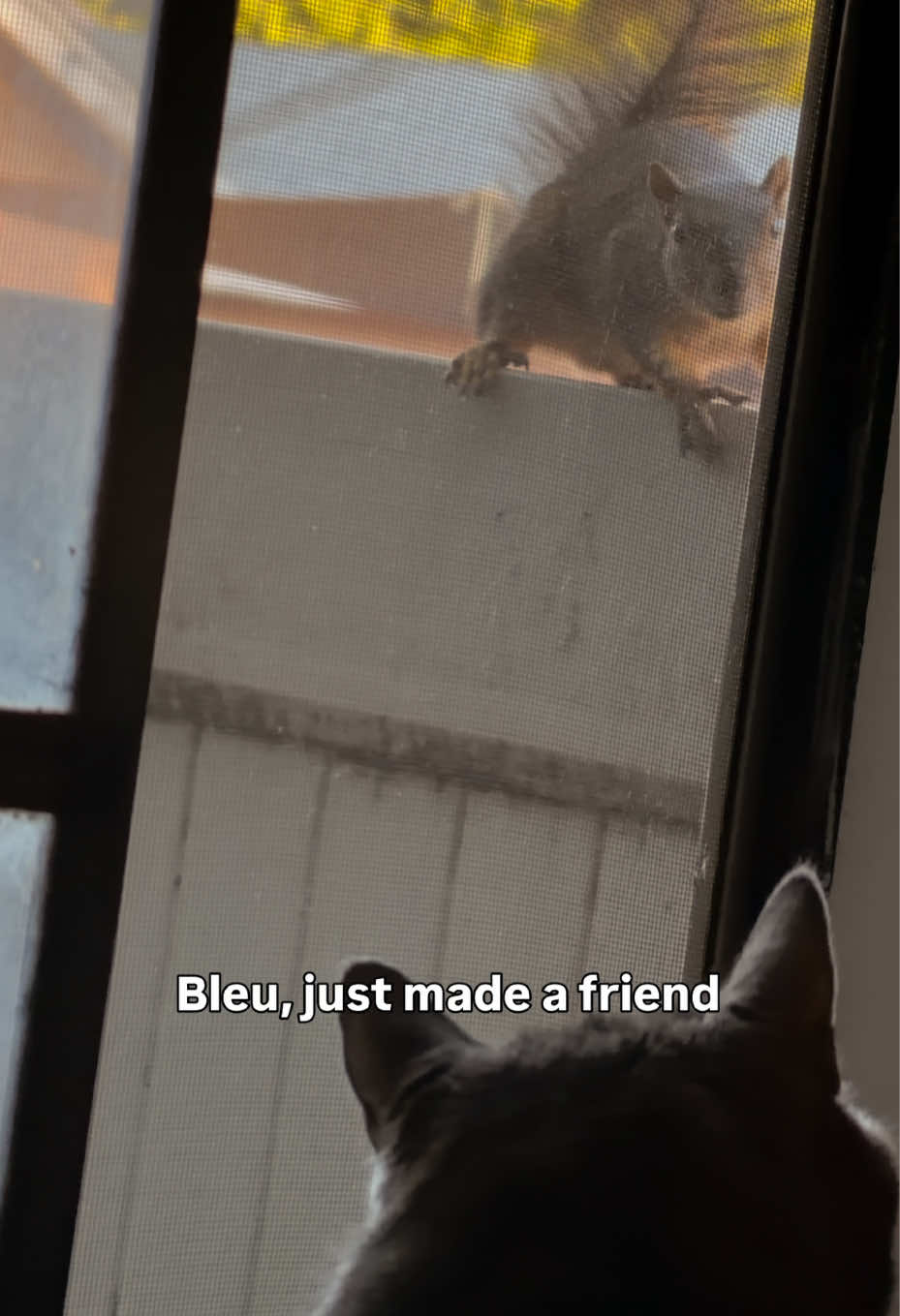 @Victor Fernandes