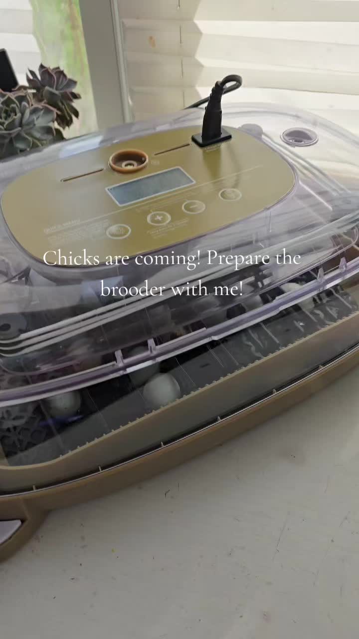 @ActiveMommy