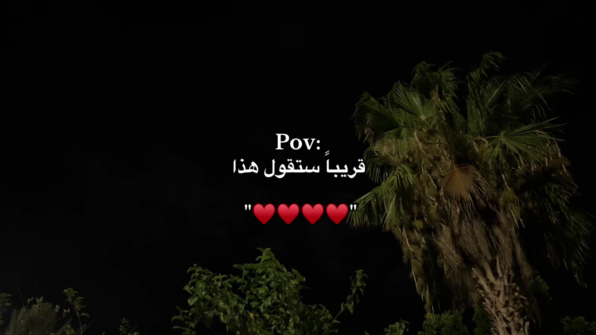 @قلب مطمئن بالله🌿🕊️