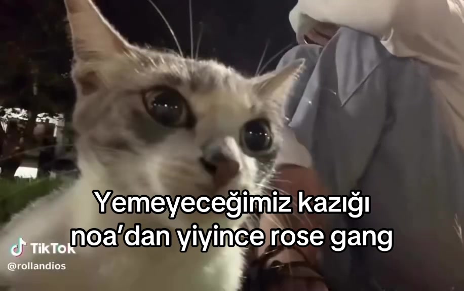@nida