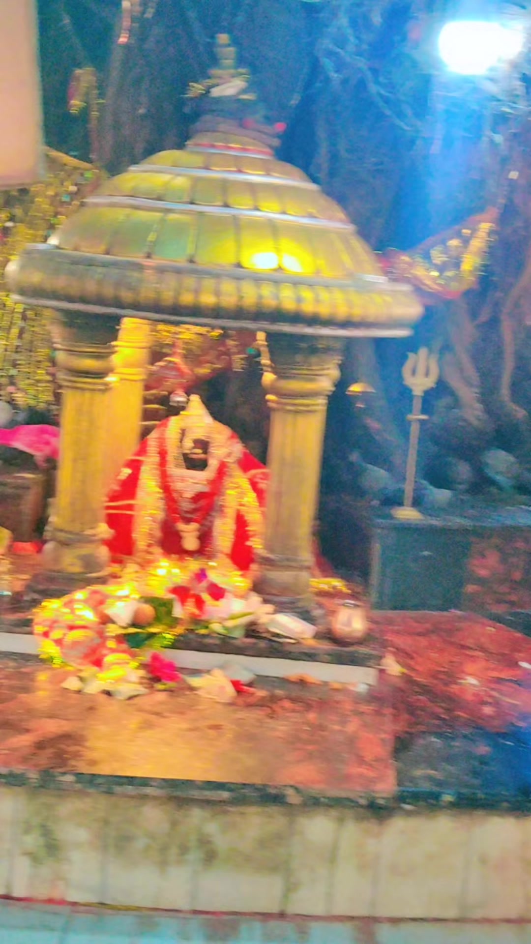@Rinku Mehta298