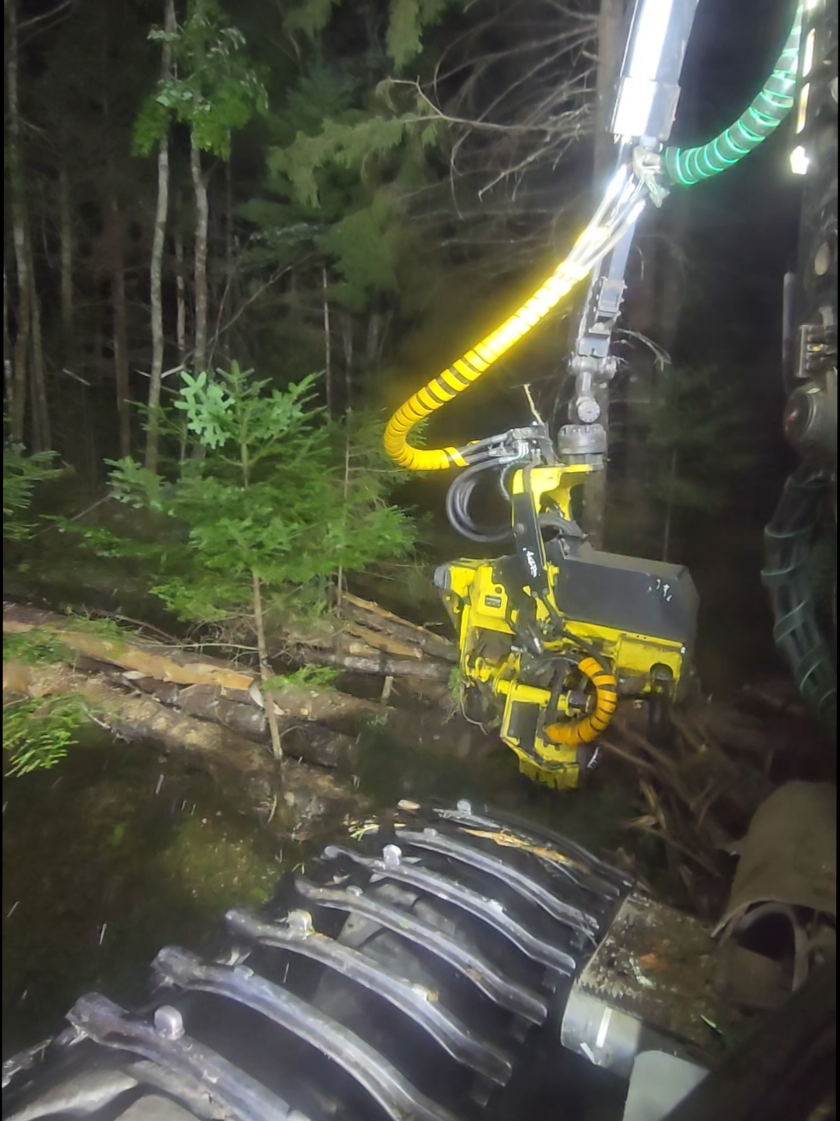 @Nova Scotia Logger