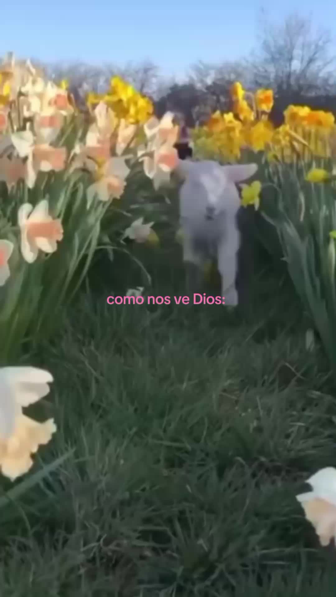 @ðÝêªÉ××
ê××
υ××
t××
ášµ××
×
ð