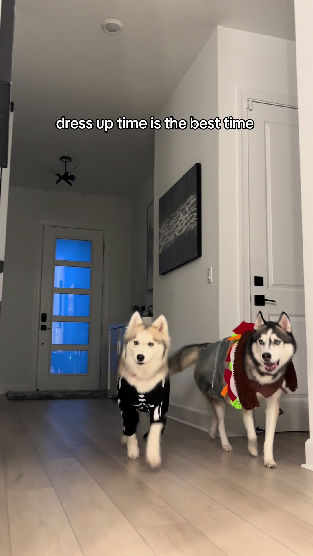 @lifewith2huskies