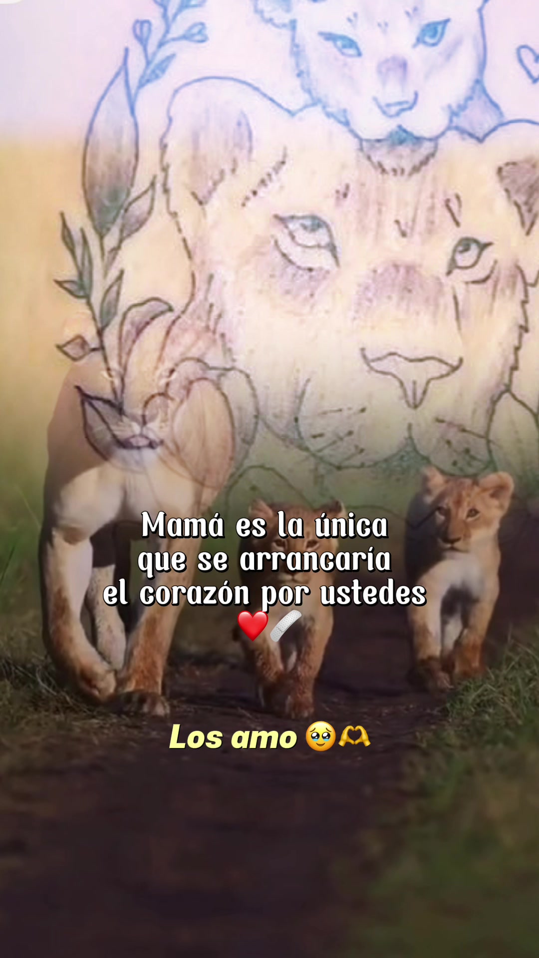 @anilu