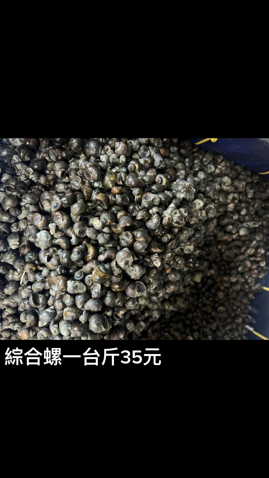 @阿興檳榔攤(金寶螺專賣店
