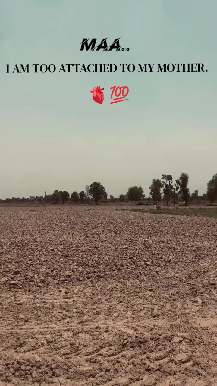@🐯متین صاحب 786🦁