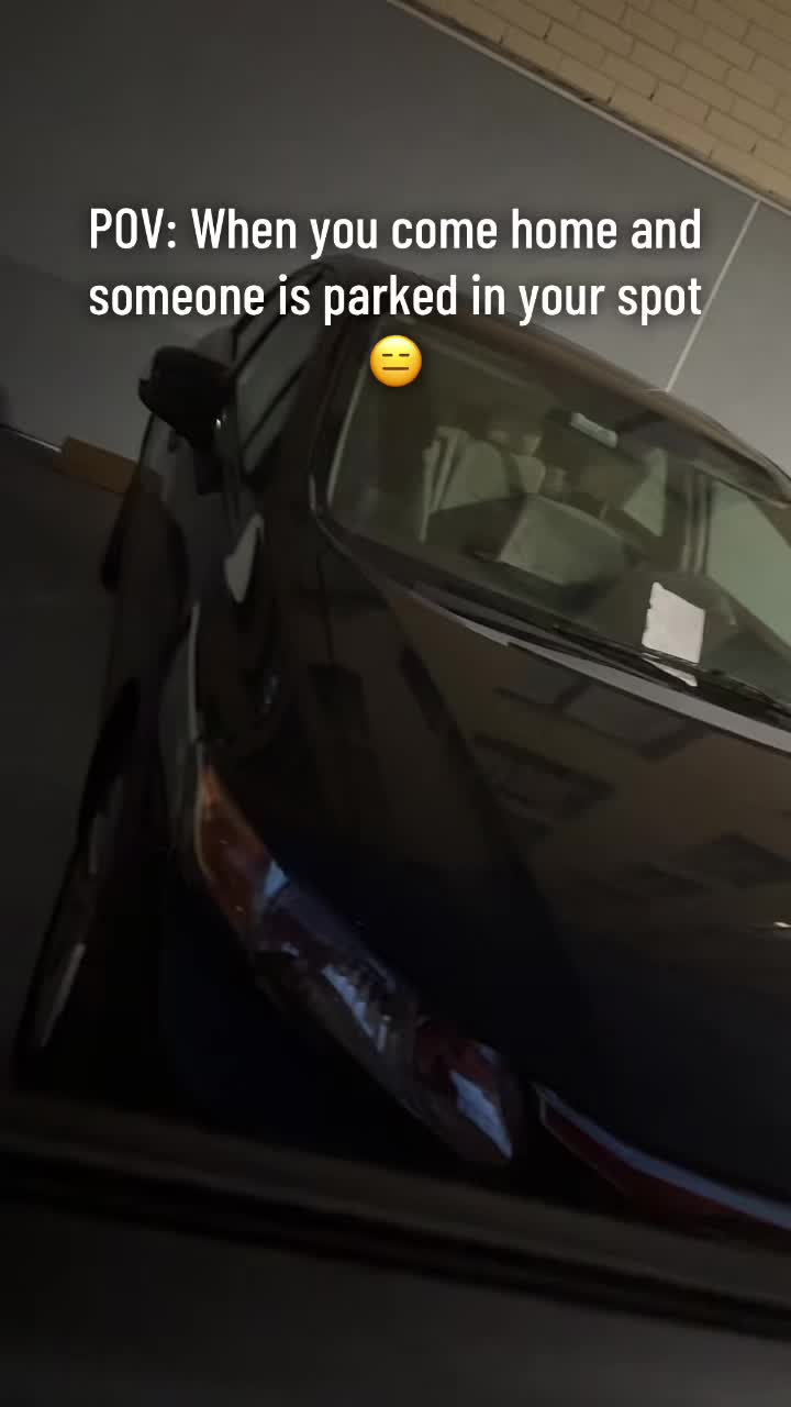 @cynonthescene