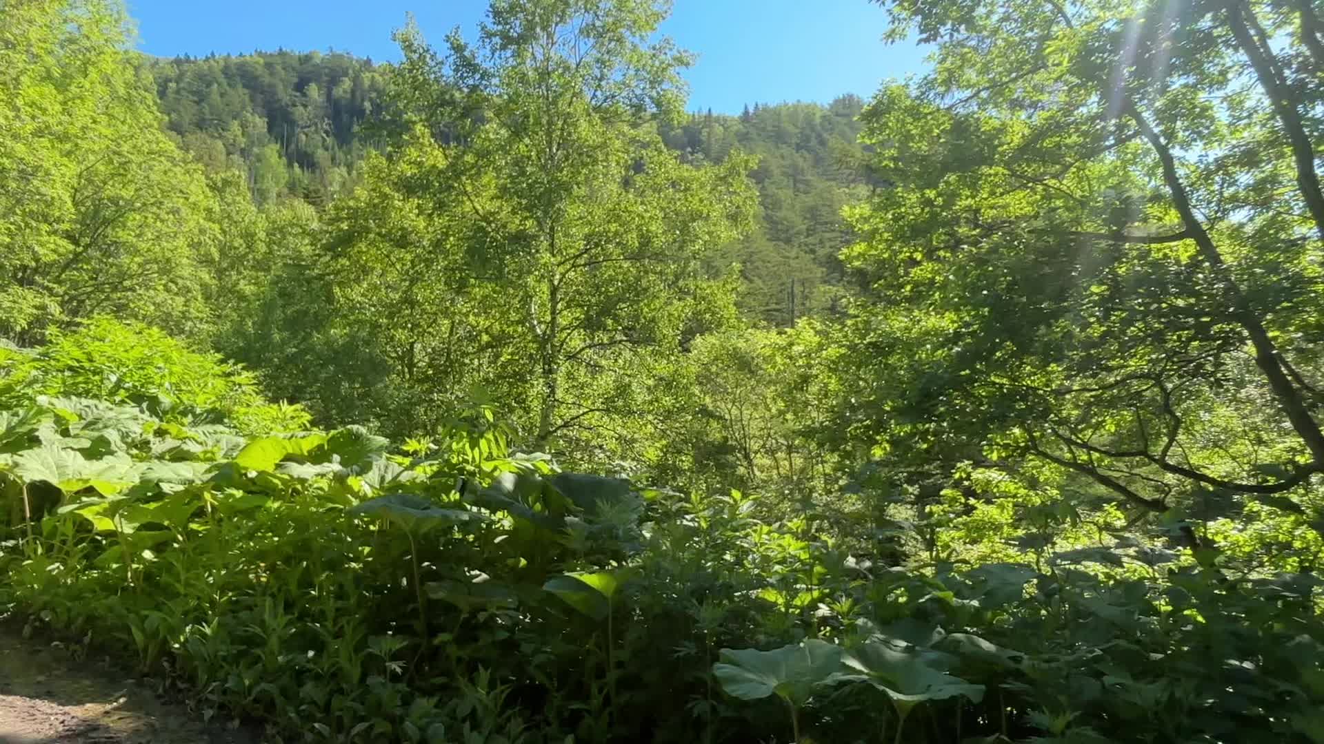 @undada