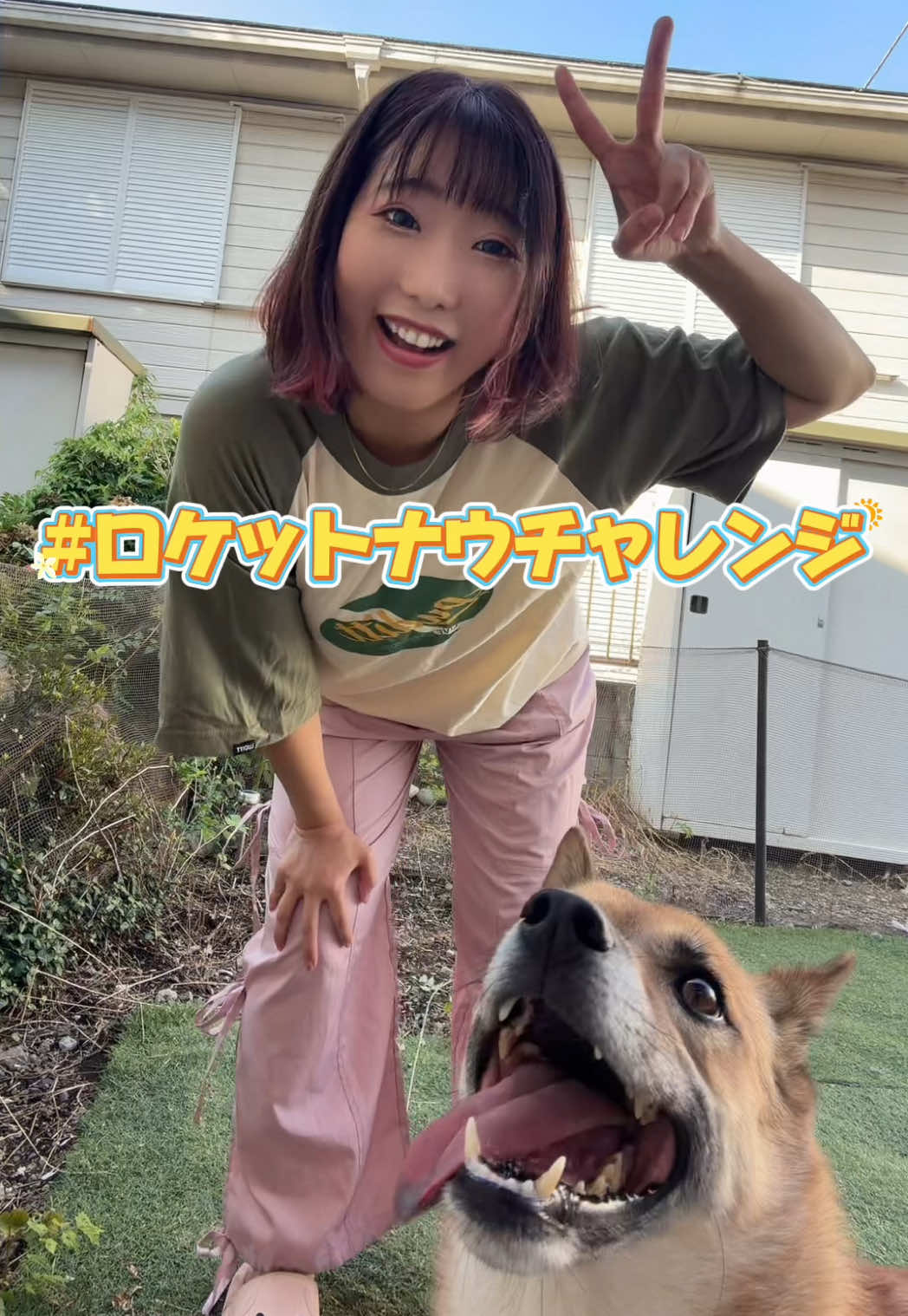 @NaNaえのきど🎸🐕5弦Bass