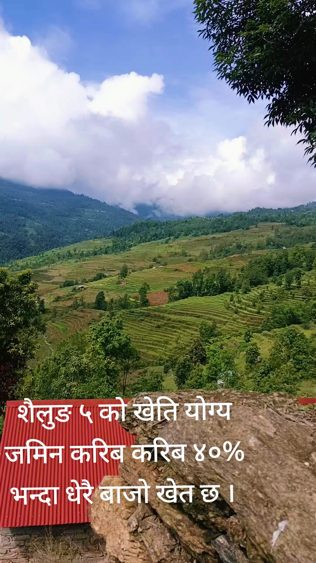 @Krishna Karki