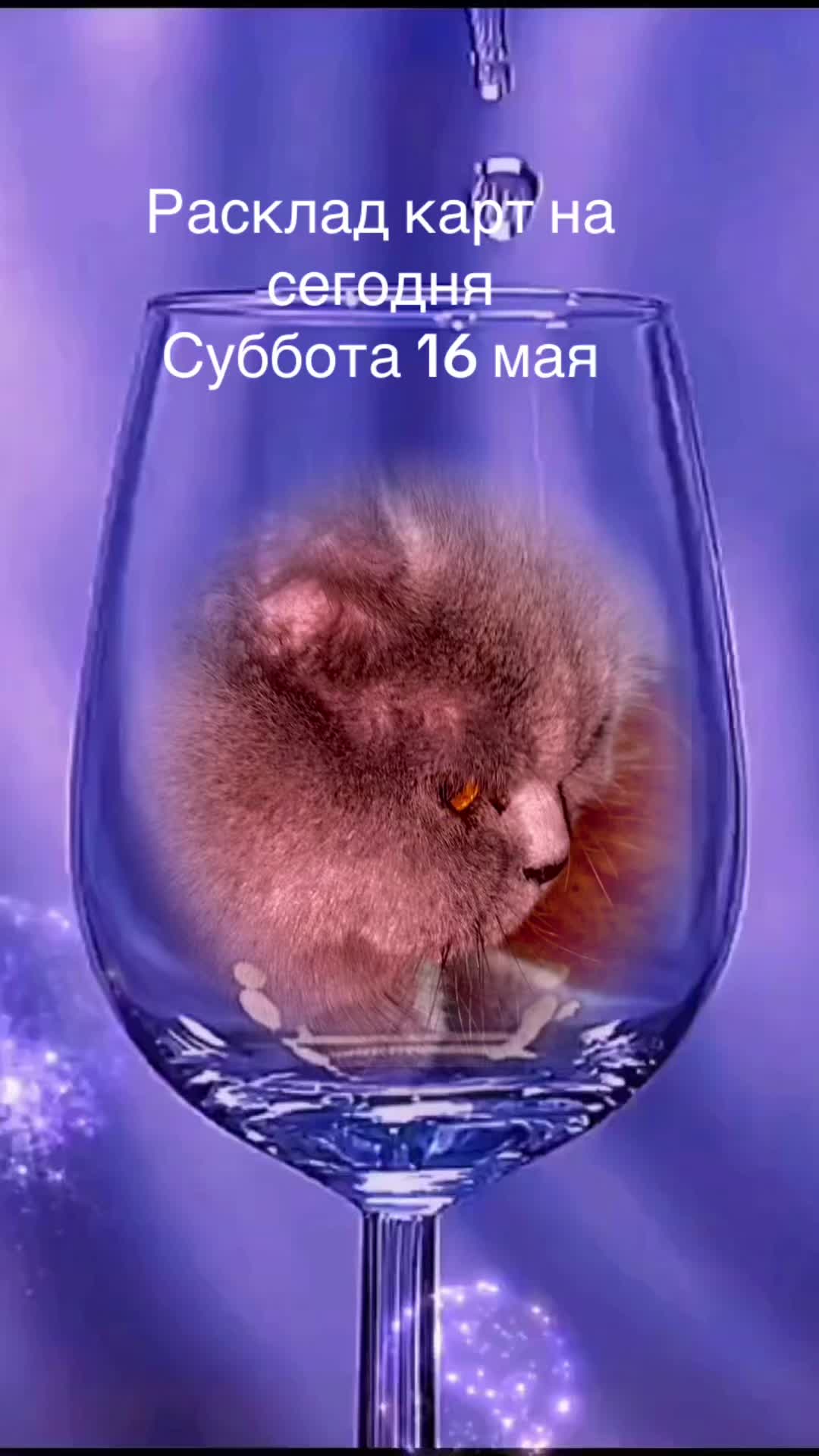 @ВИКУСЯ ЯСНОВИДЯЩАЯ