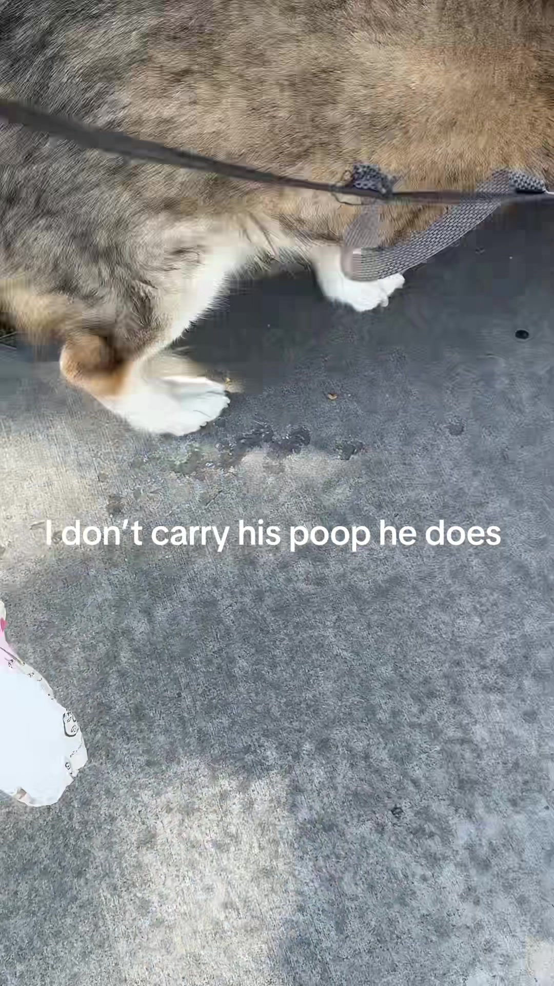 @kodi_1517