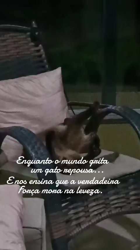 @Mileide Maciel Macie