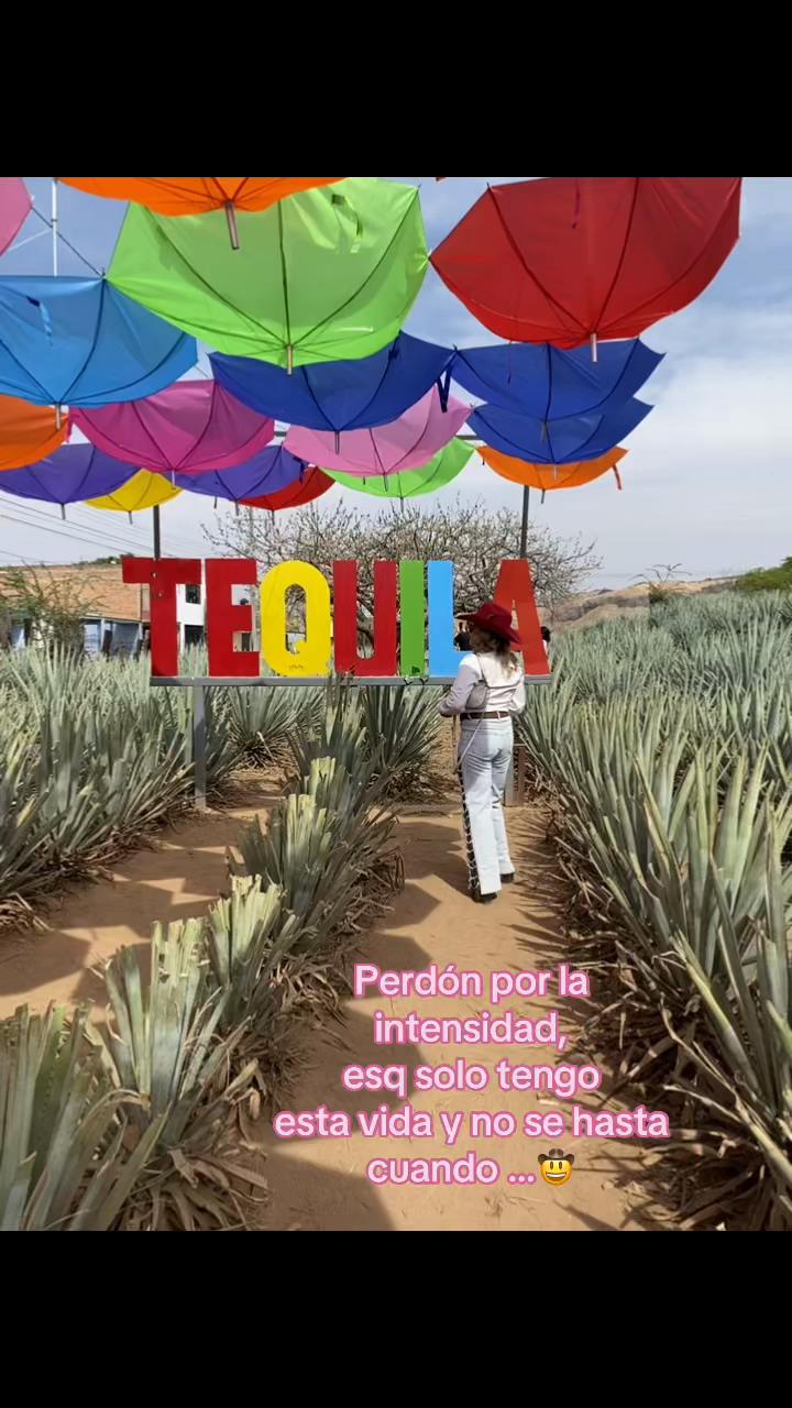 @karla.dgo