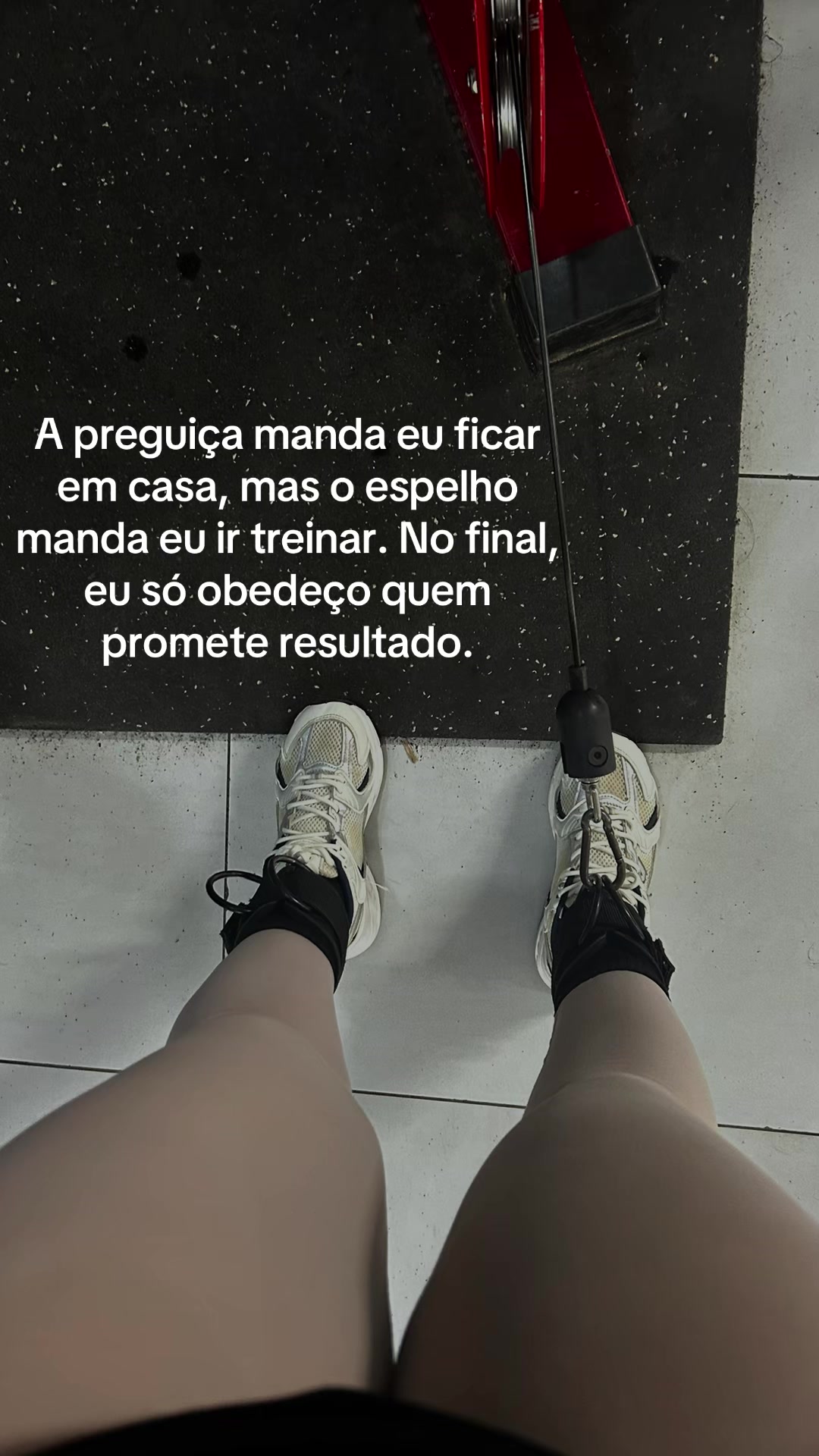 @Maria Fernandes