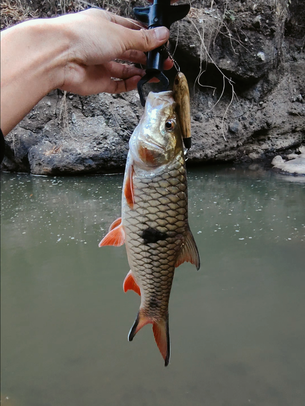 @gustavxfishing