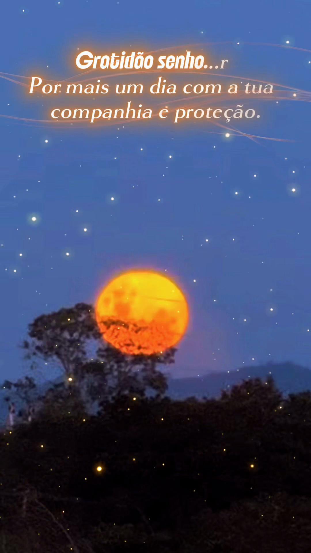 @Bolina de Goiás