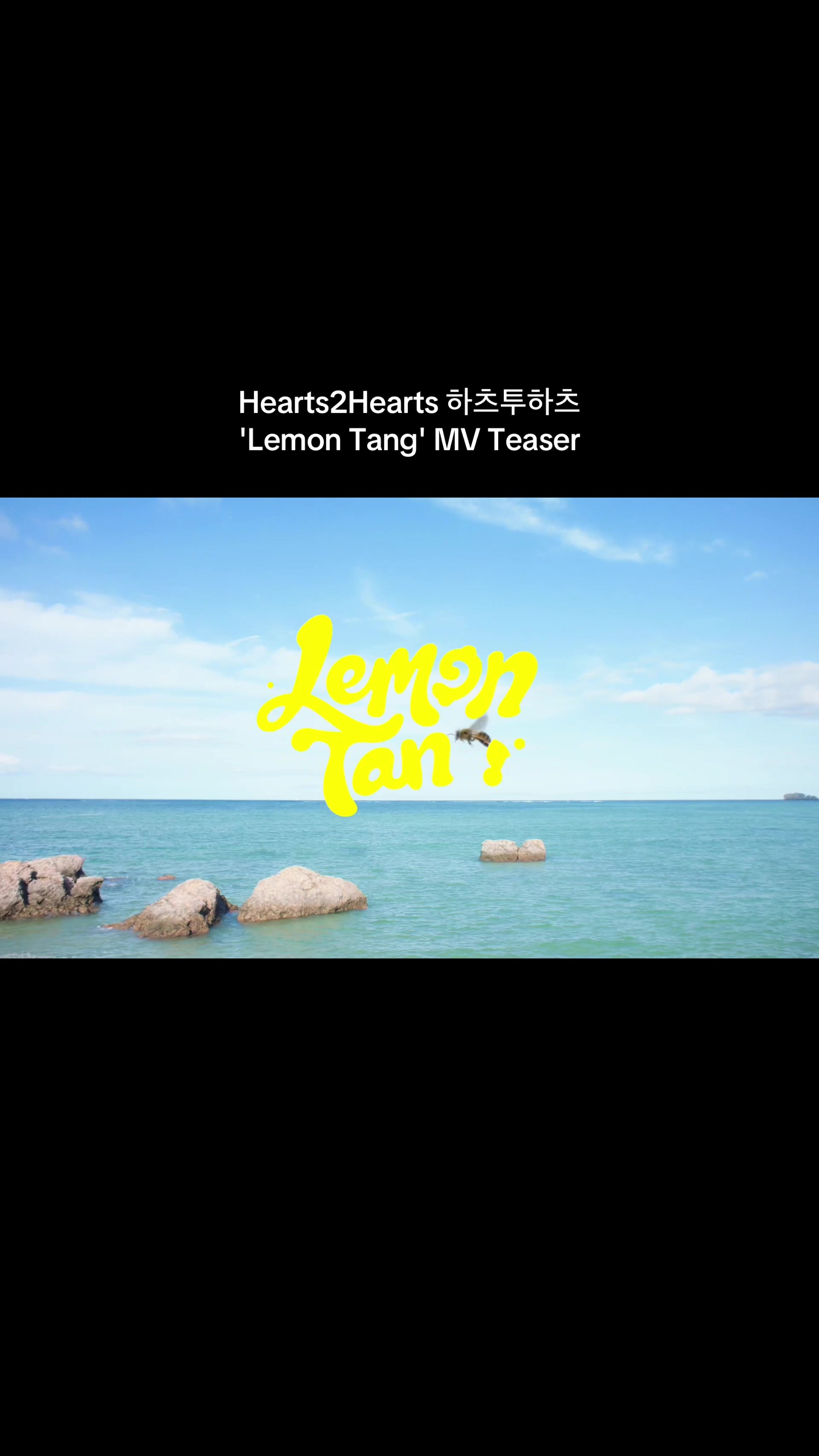 @⌗ 𝗃𝖺𝗒 tang 🍋 | H2H clips