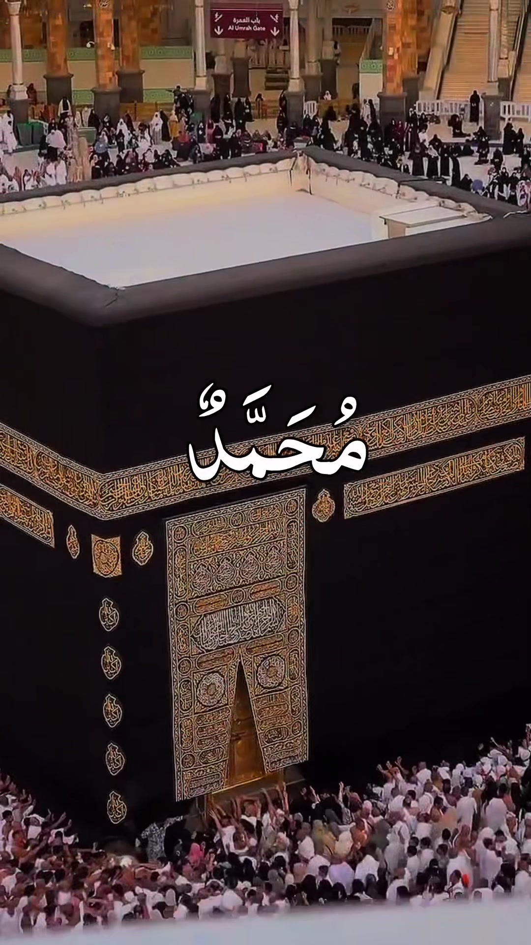 @❣️ Words of Allah ❣️