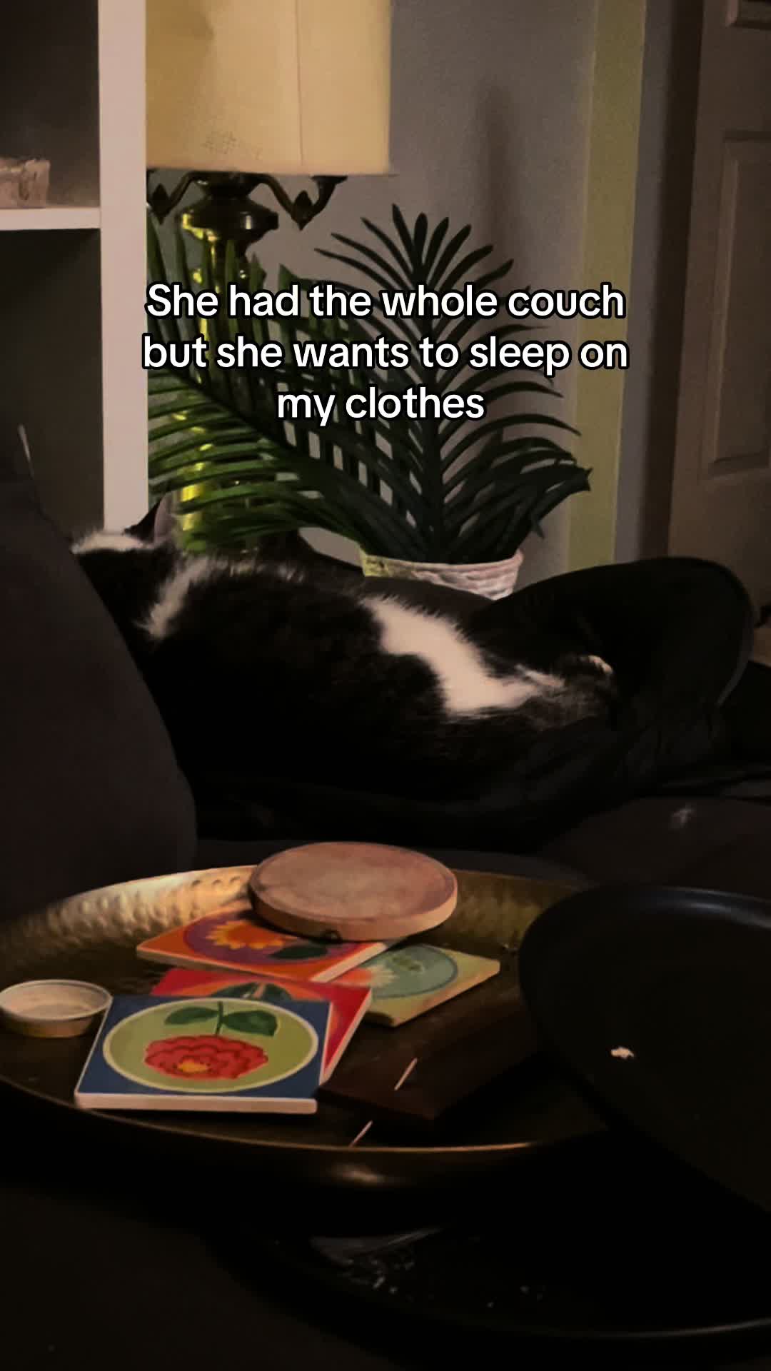 @SaintHelios