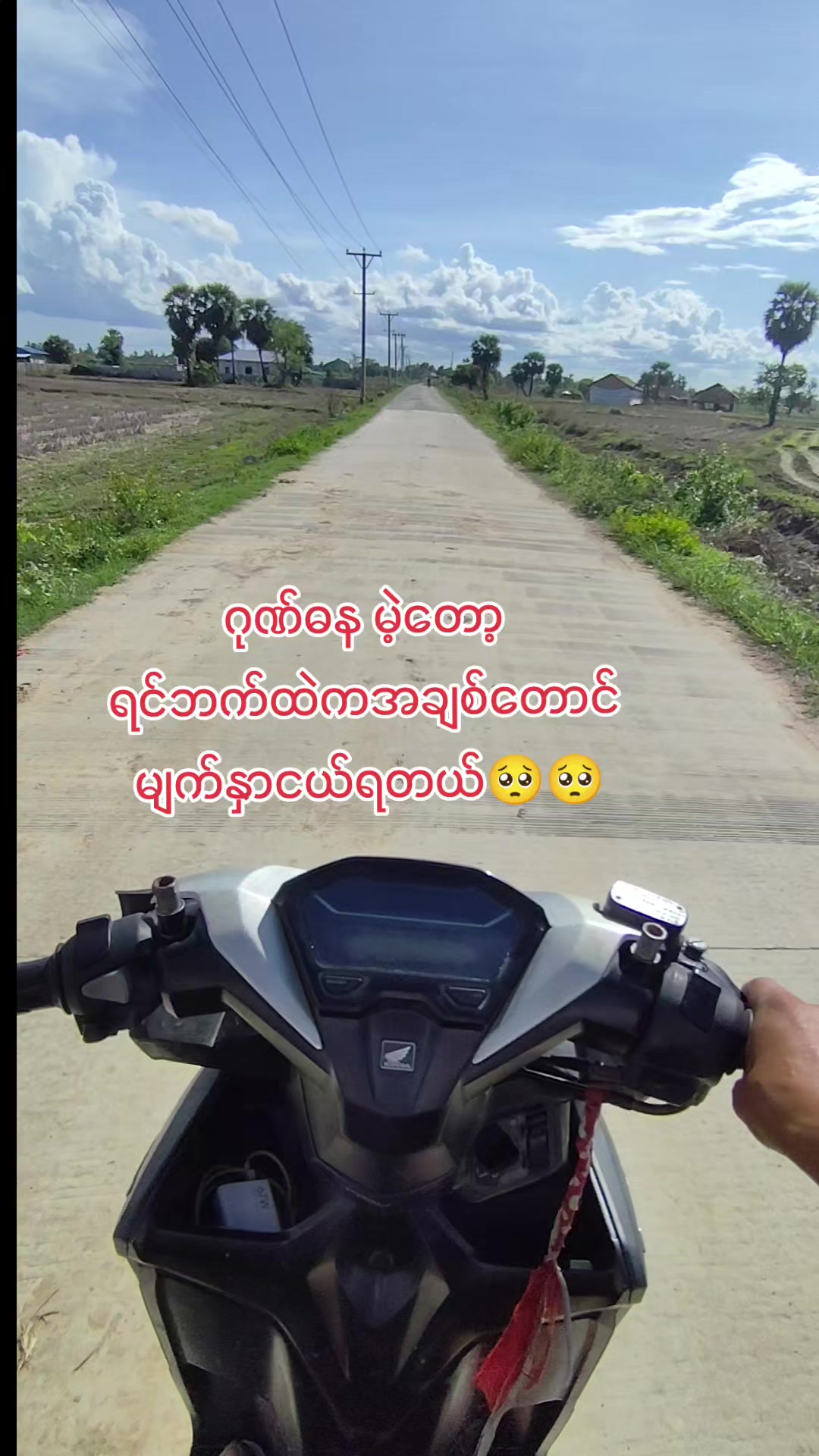 @🇲🇲နောင်လေး🇲🇲 ( TAUNGOO )