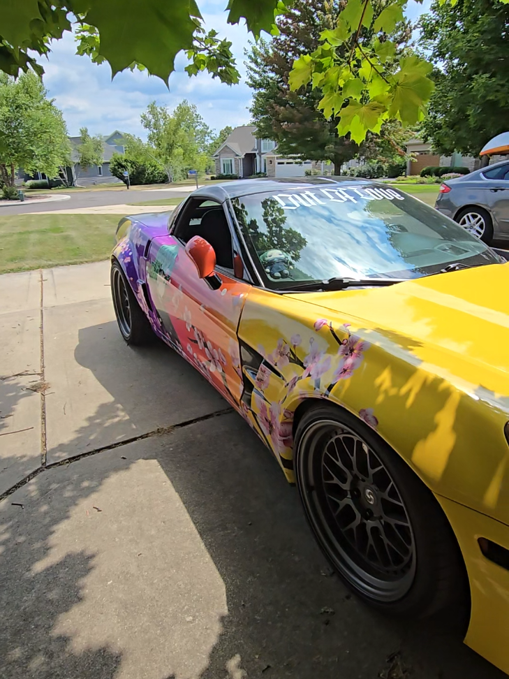 @AnimeVette