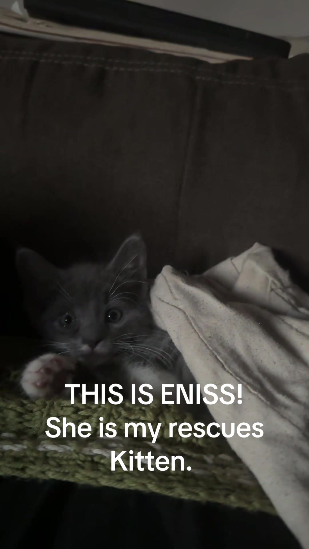 @Thoughtcriminals