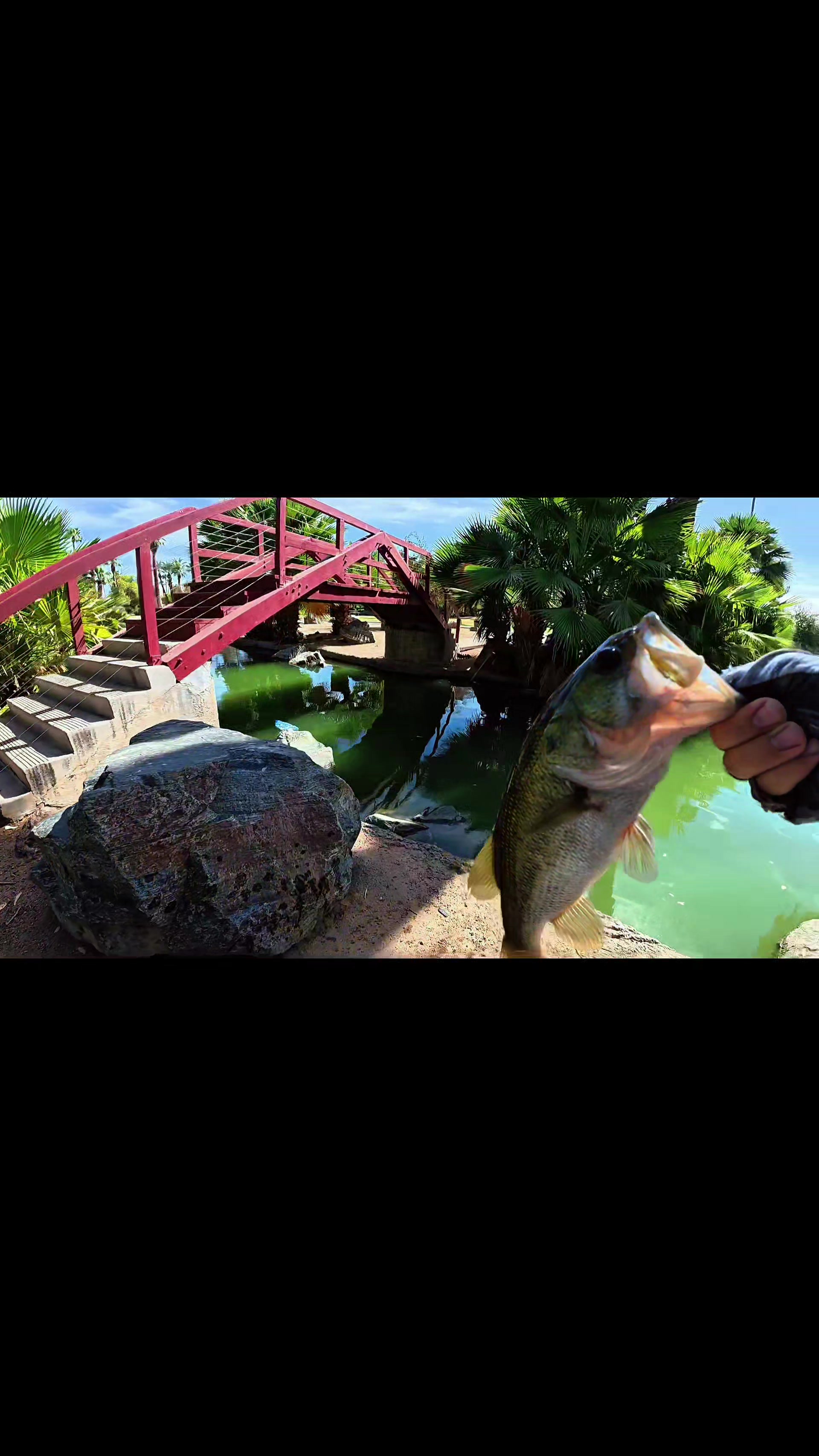 @SalmonInTheDesert