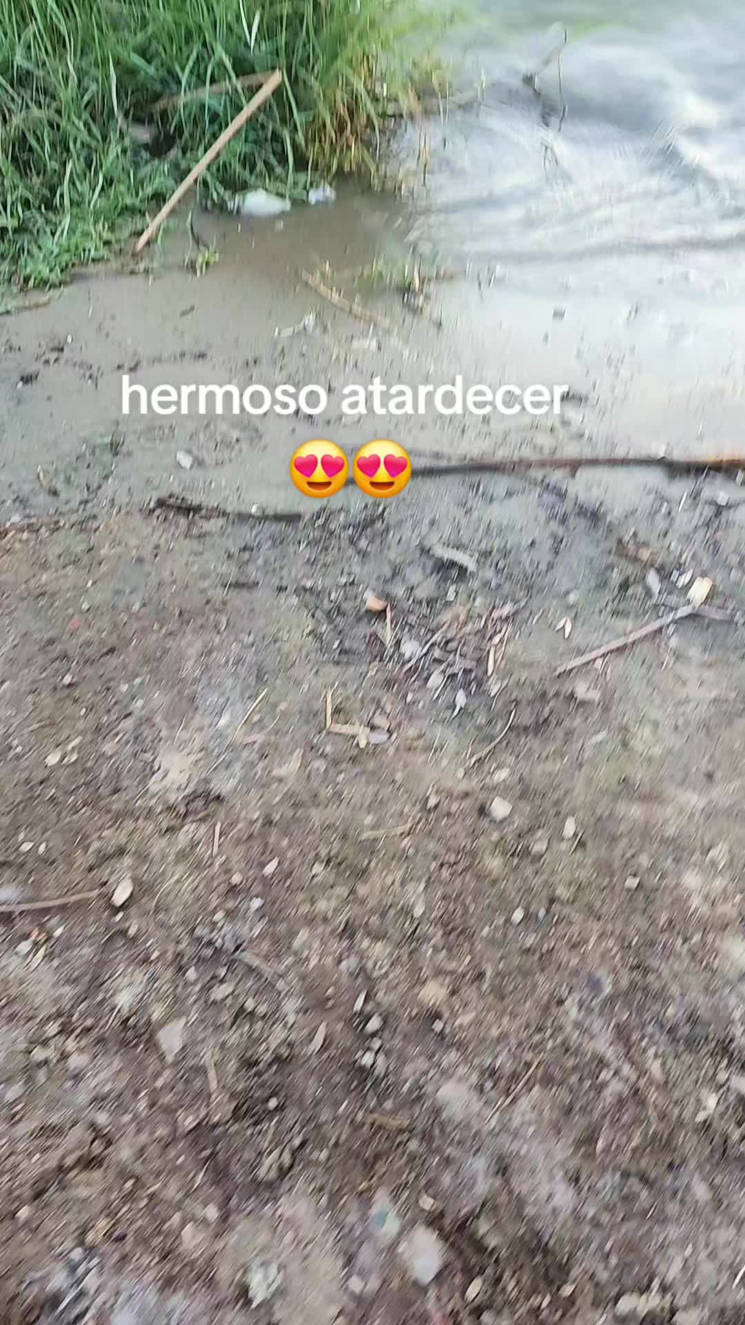 @Cesar Arias