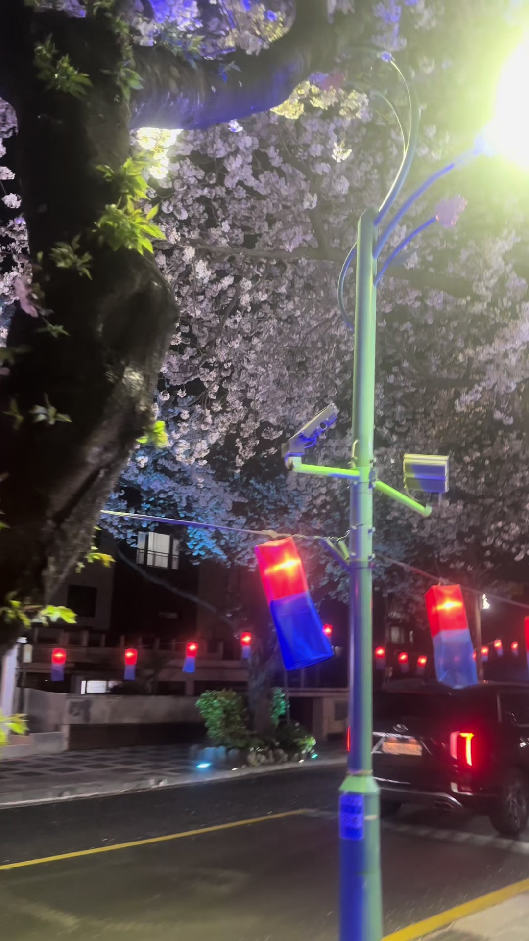 @자기실현자