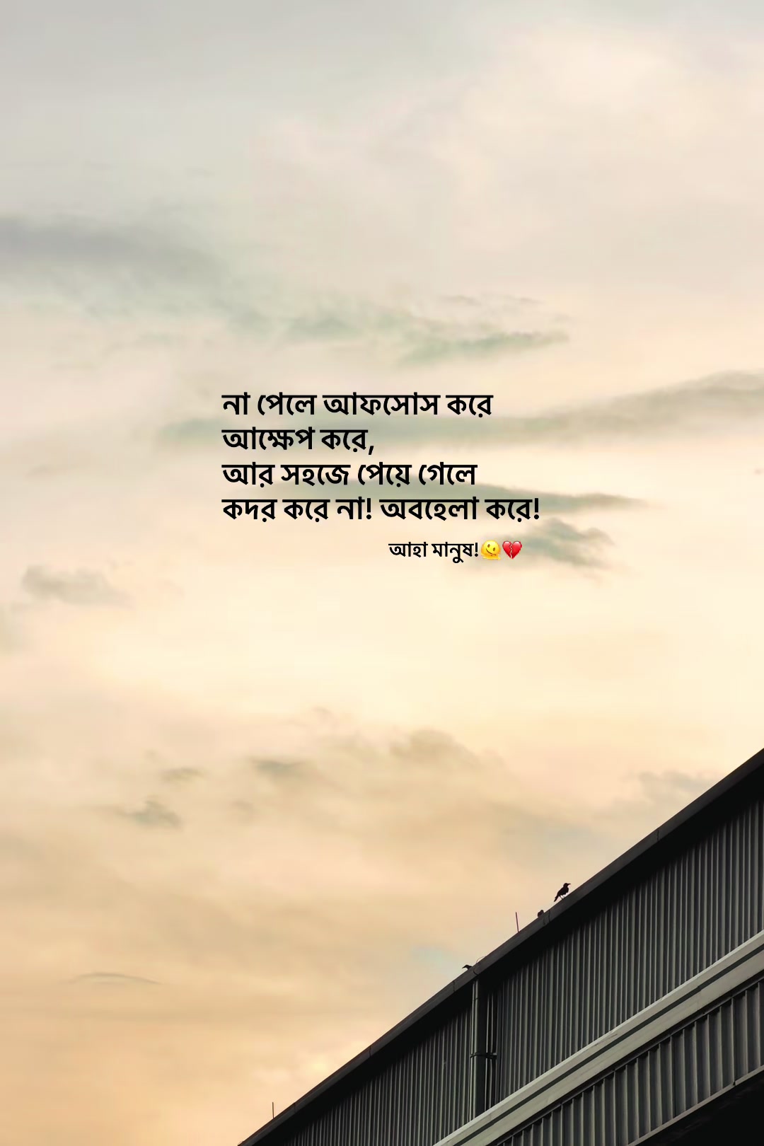 @आईएएन ┊🐥