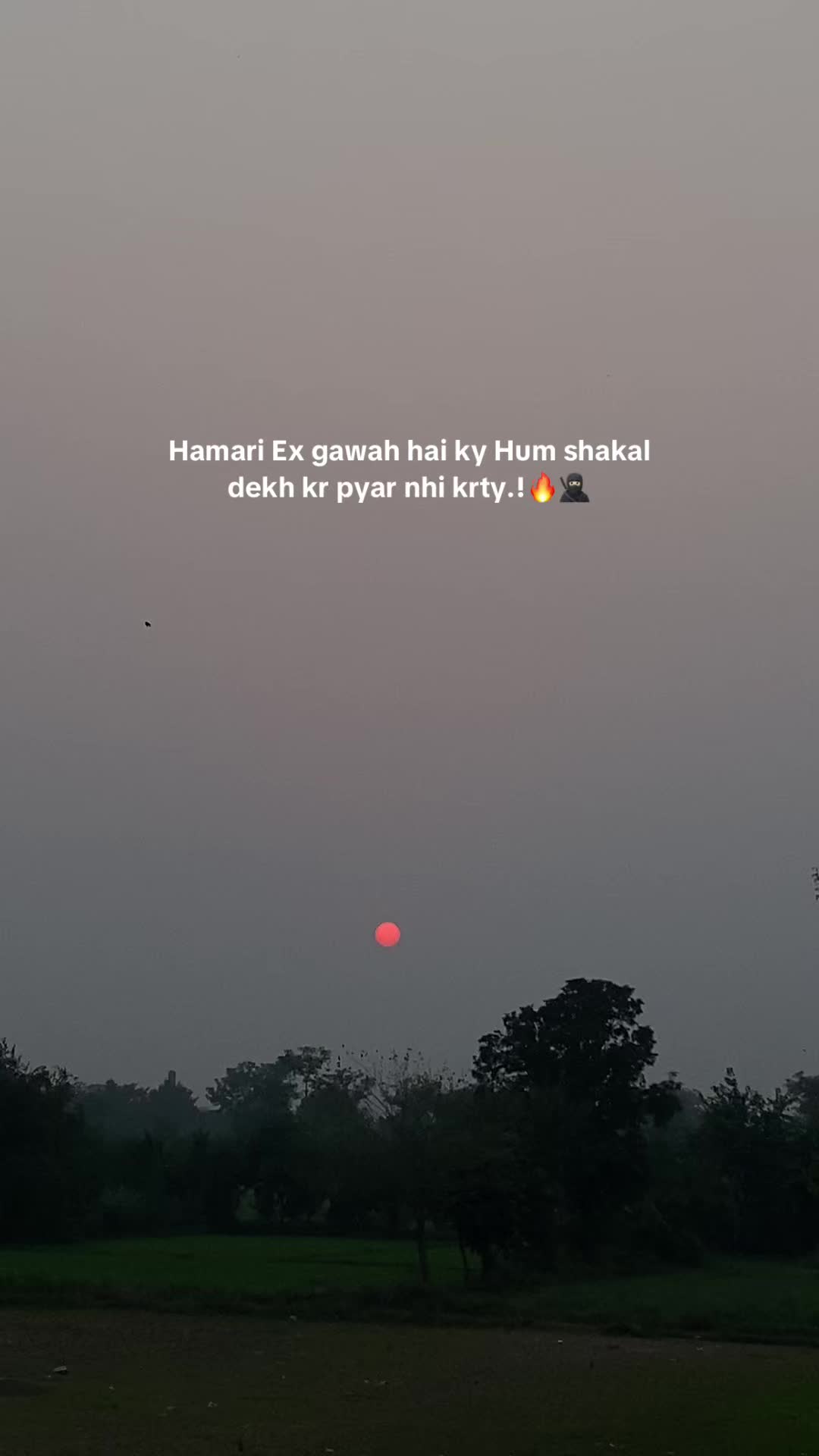 @🚩