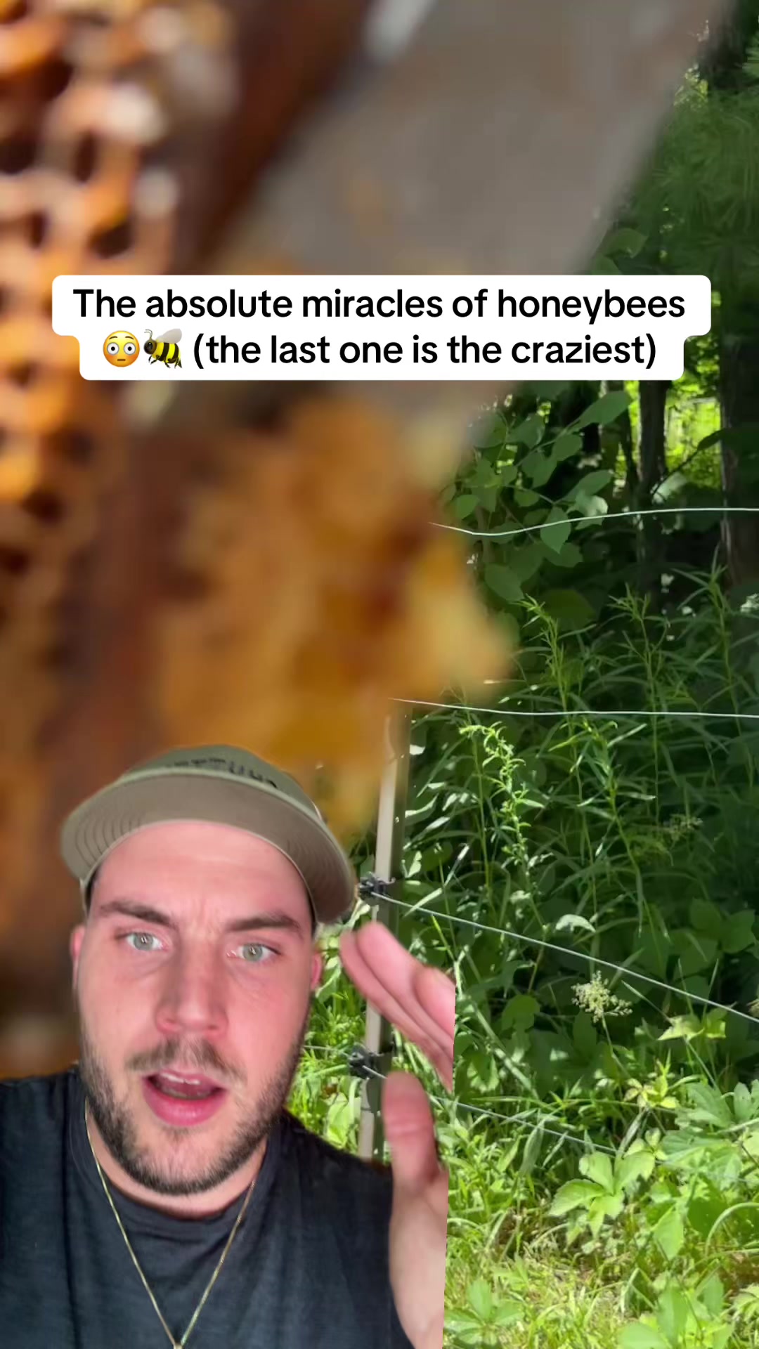 @Shayne Vibes Truth