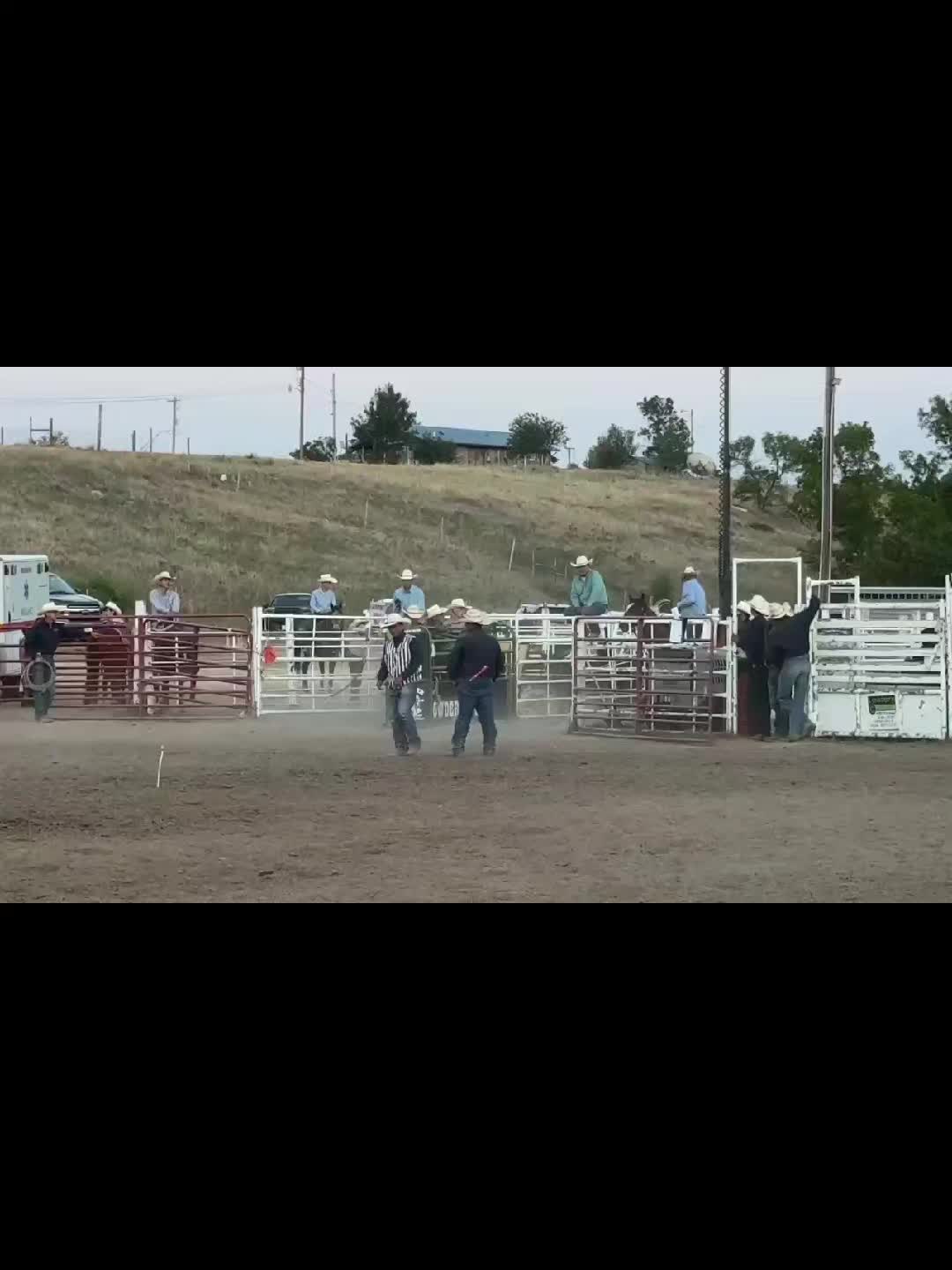 @scottdailyhorsetraining