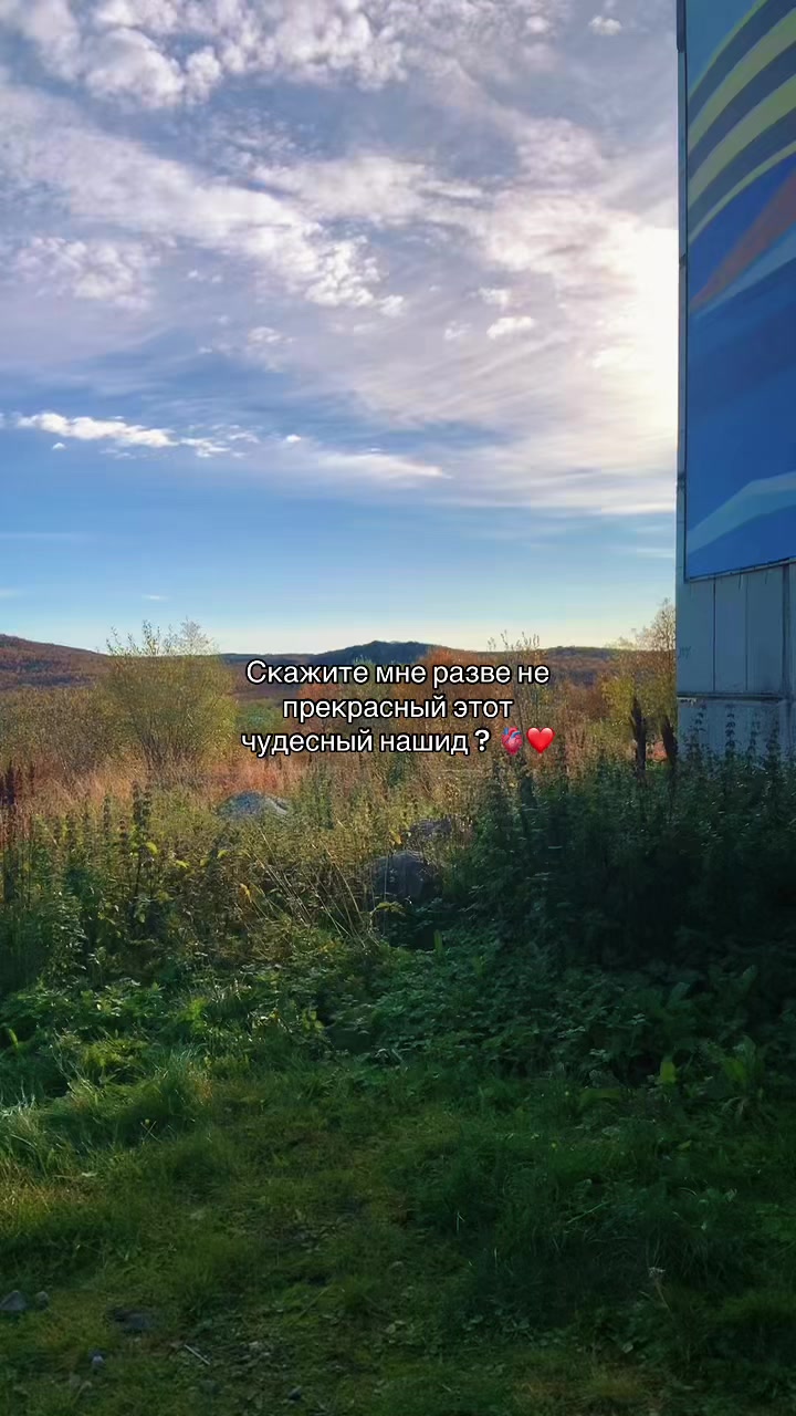 @СВОШНИК 😭