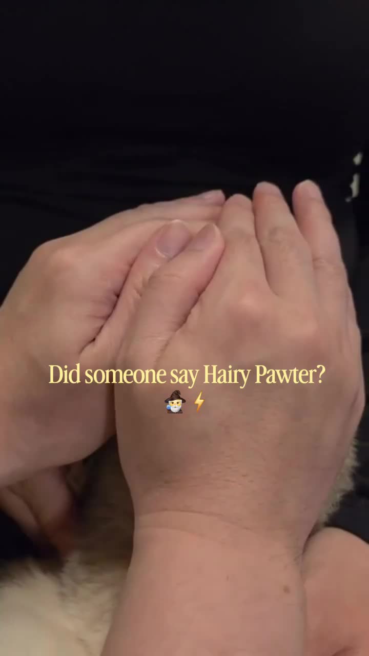 @𝕻𝖆𝖔𝖑𝖆 𝕷𝖚𝖆𝖓𝖆  🌹🔥