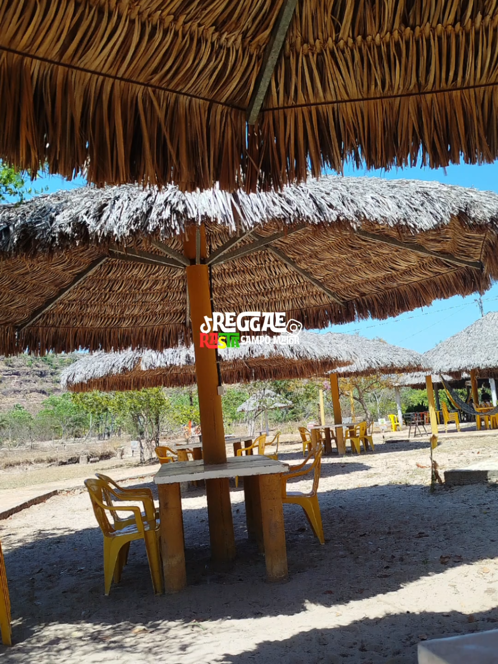 @REGGAE RASTA CM