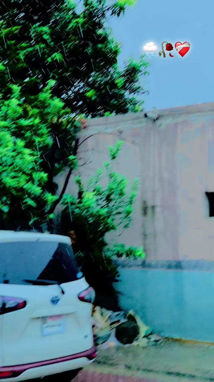 @@AWAiSO 307 🍁🥀