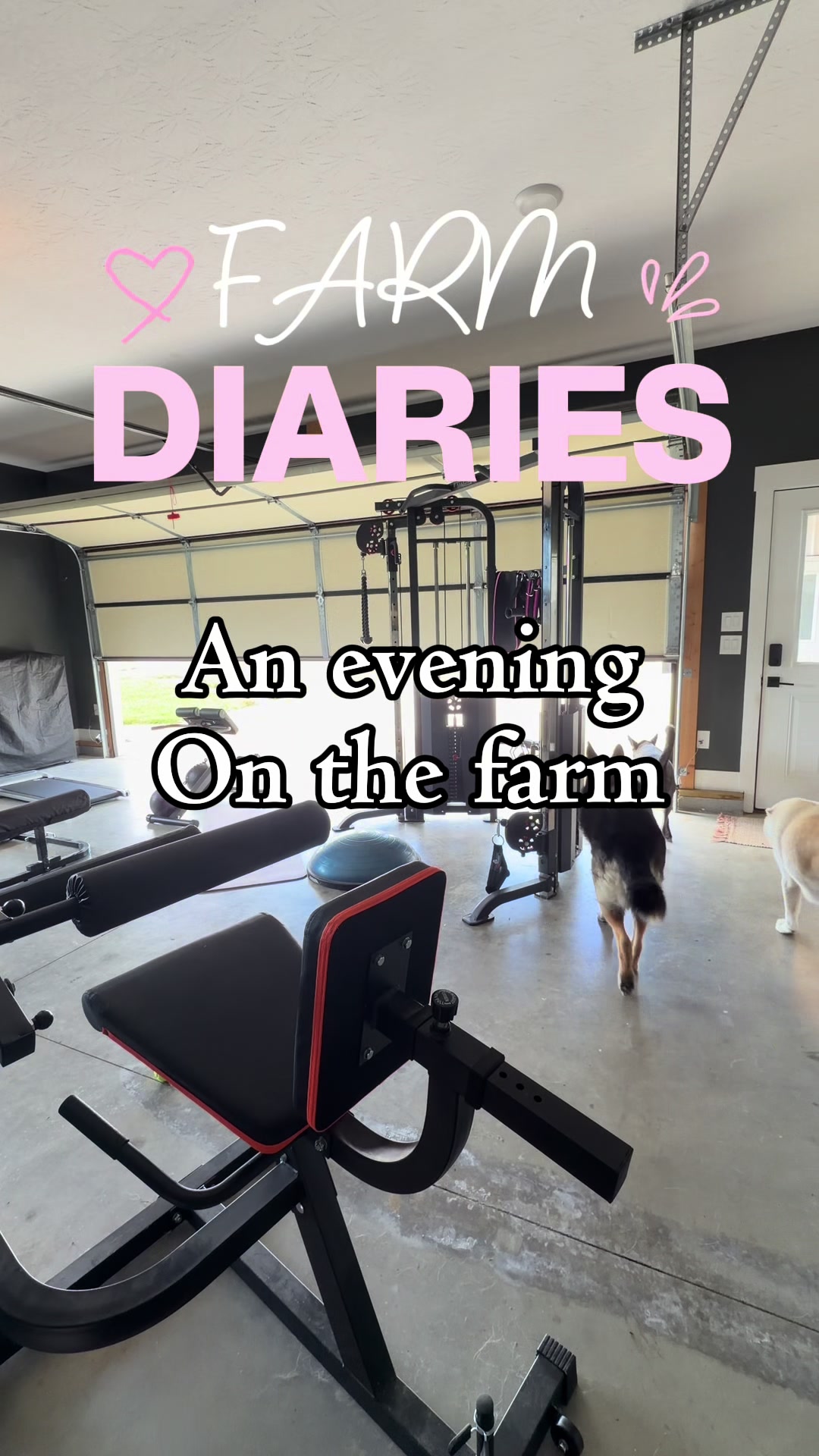 @Ally | Farm Wife