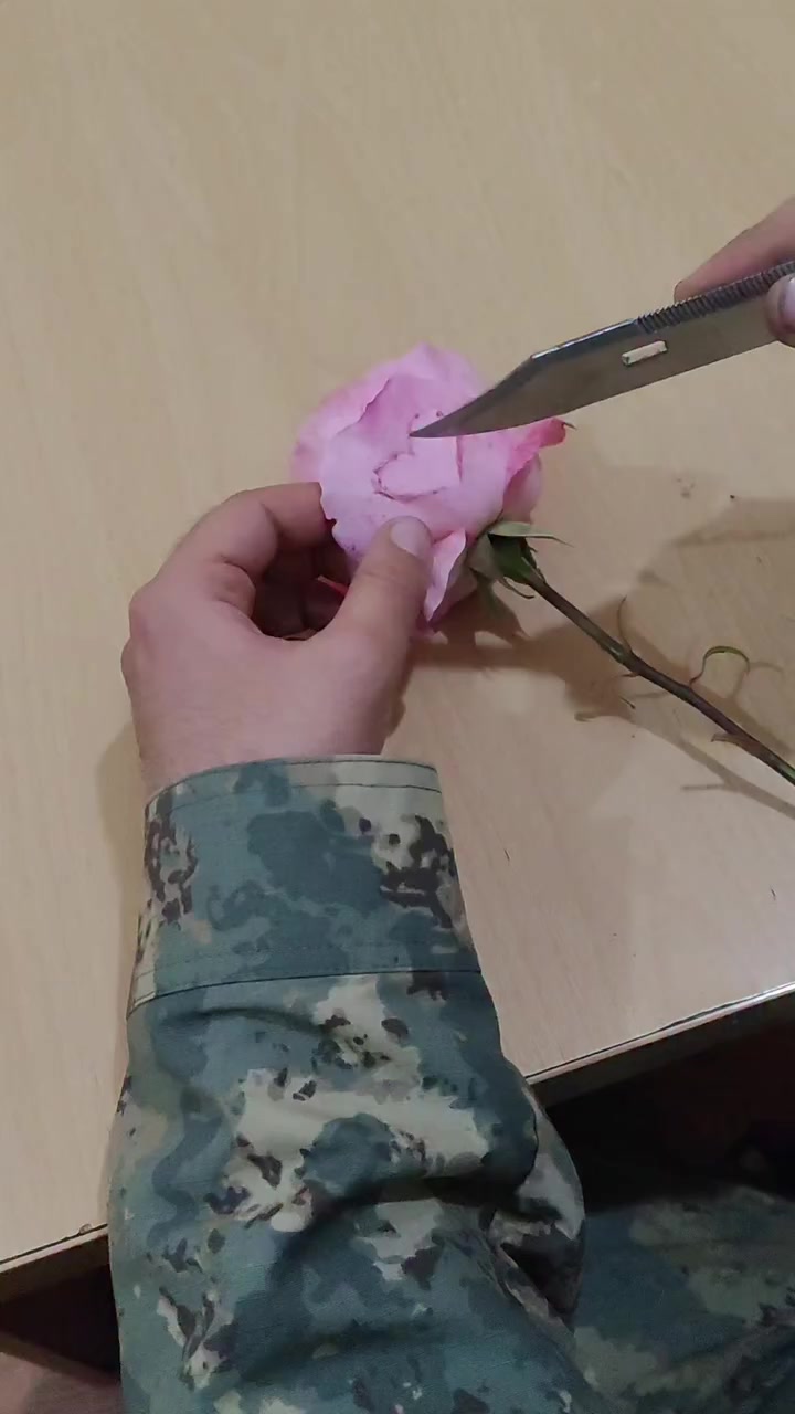 @𝒏𝒊𝒉𝒂𝒅✌