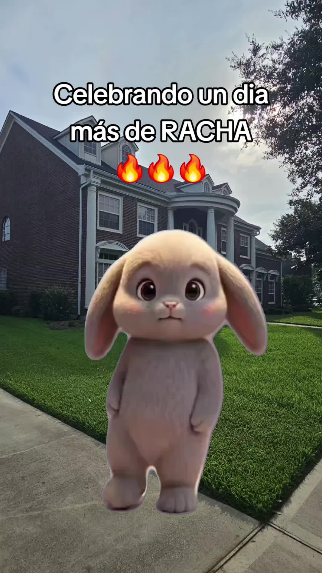 @R&aacute;pido💫&🌻Furioso🧝&zwj;♀️