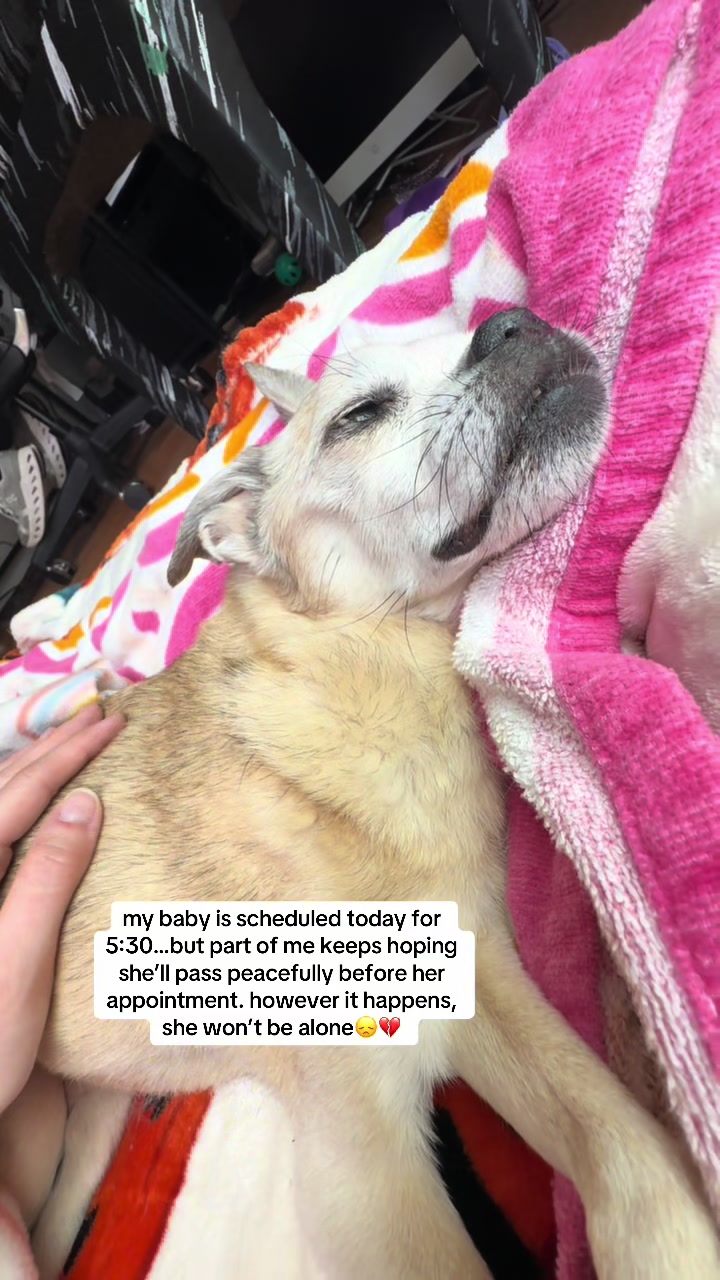 @becca🧍🏽♀️DA🦷